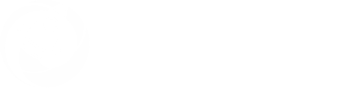 Marketins Soluções de Marketing